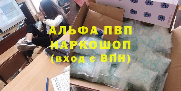 эйфоретик Богданович
