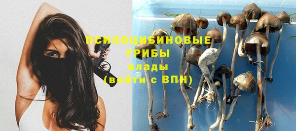 амф Богородицк