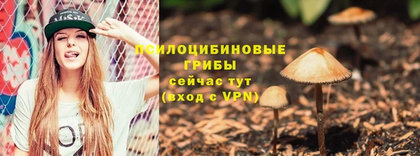 амф Богородицк