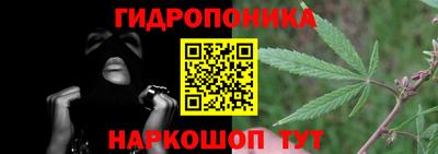 прущие грибы Нягань