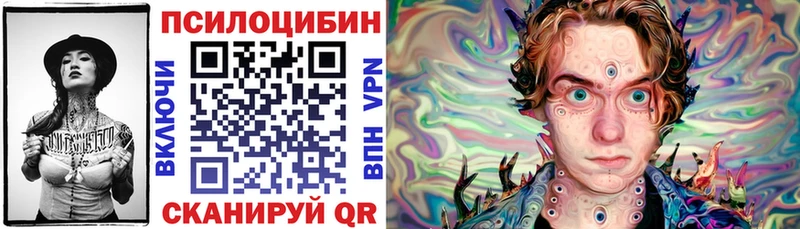 цена   Валуйки  Псилоцибиновые грибы Psilocybine cubensis 