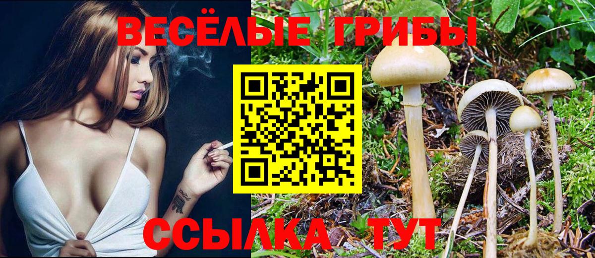 наркота  Псилоцибиновые грибы Psilocybe  Вход с VPN  Валуйки 