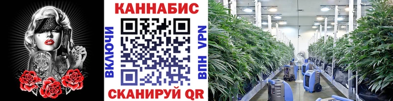 Конопля ГИДРОПОН  Валуйки 